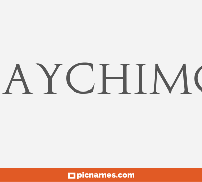 Baychimo