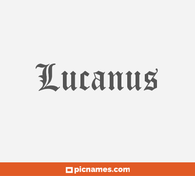 Lucanus