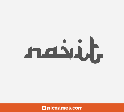 Navit