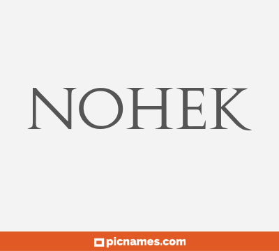 Nohek