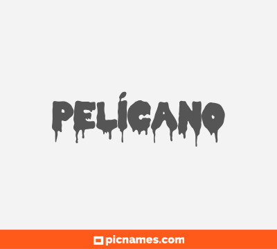 Pelícano