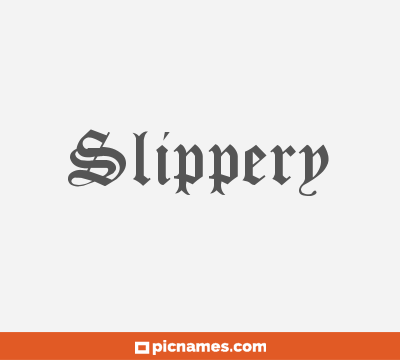 Slipper