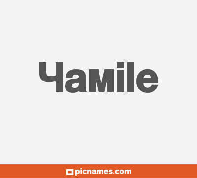 Yamille