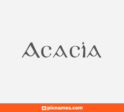 Acacia