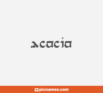 Acacia