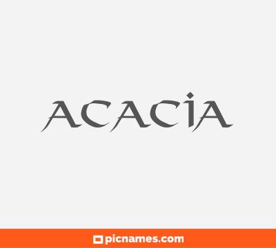 Acacia