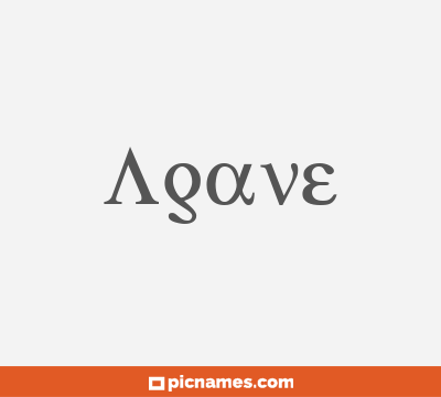 Agave