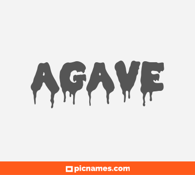 Agave