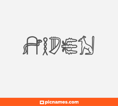 Aiden