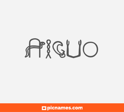 Aiguo