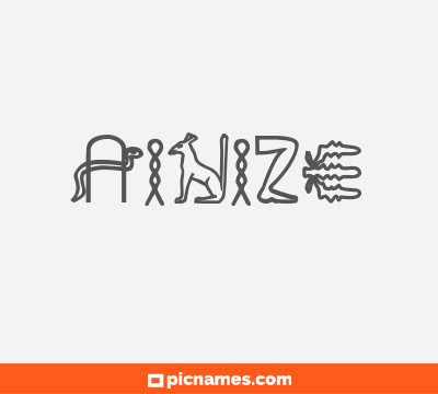Ainize
