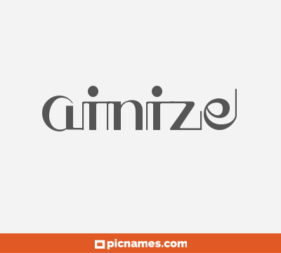 Ainize