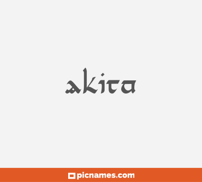 Akita