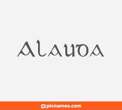 Alauda