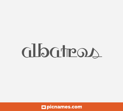 Albatros