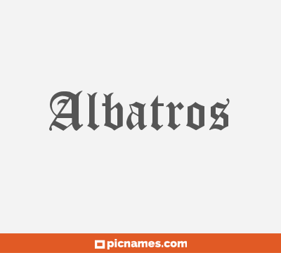 Albatros