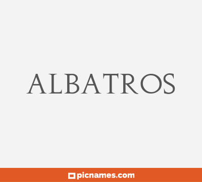 Albatros