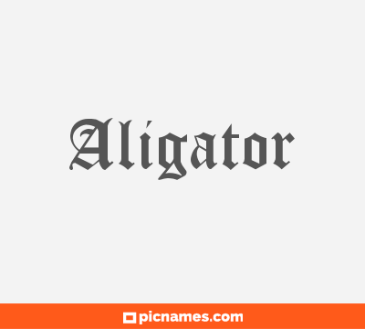 Aligator