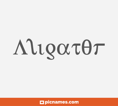 Aligator