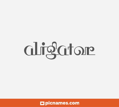 Aligator