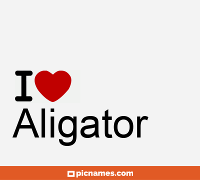 Aligator