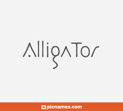 Aligator