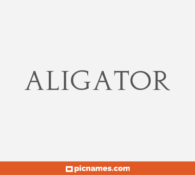Aligator