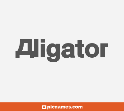 Aligator