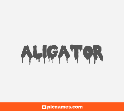 Aligator