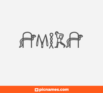 Amira