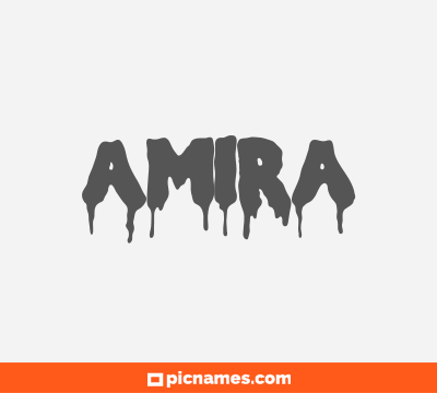 Amira