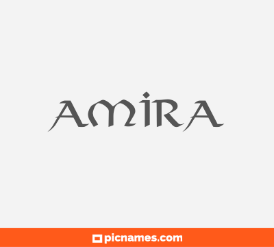 Amira