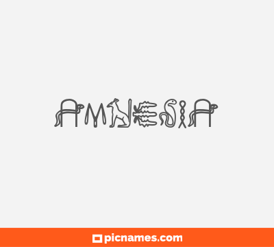 Amnesia