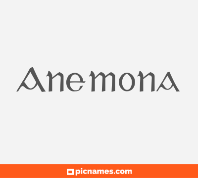 Anemona