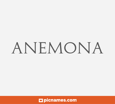 Anemona