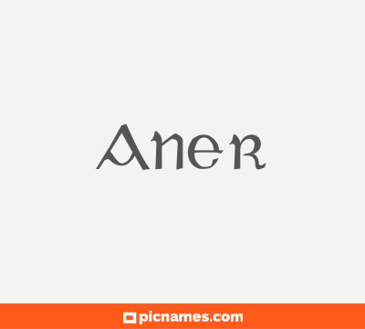 Aner