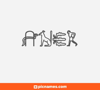 Aner