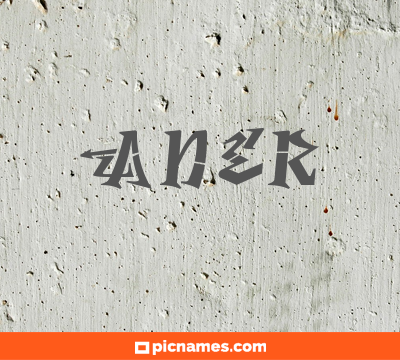Aner