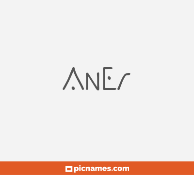 Aner