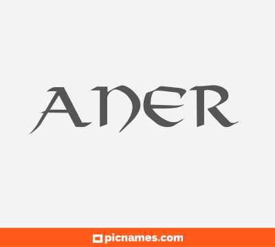 Aner