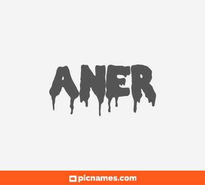 Aner