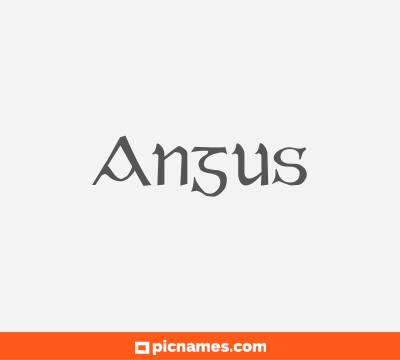 Angus