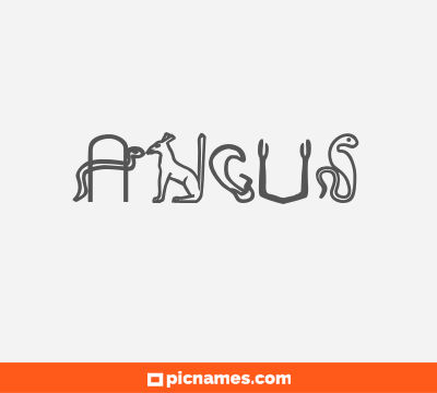 Angus