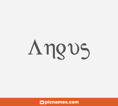 Angus