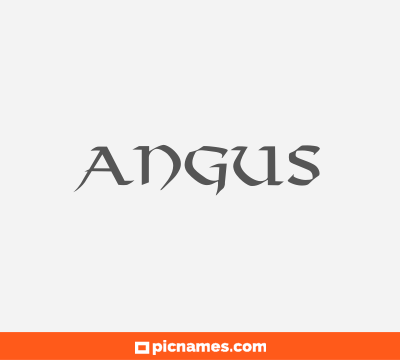 Angus