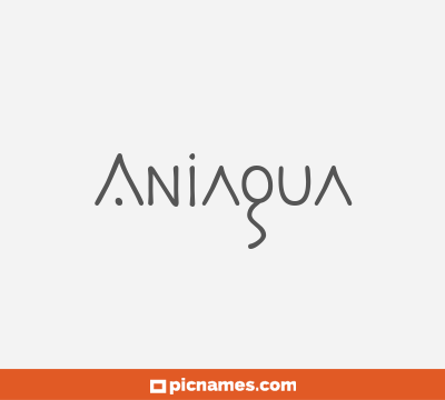 Aniagua