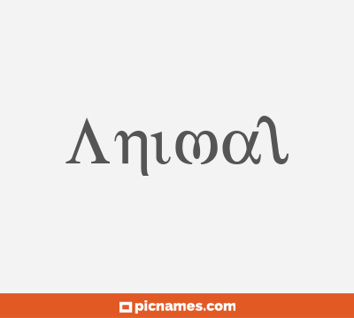 Animal