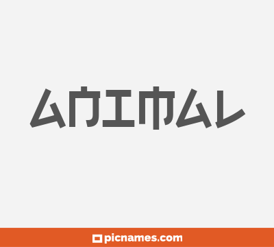 Animal