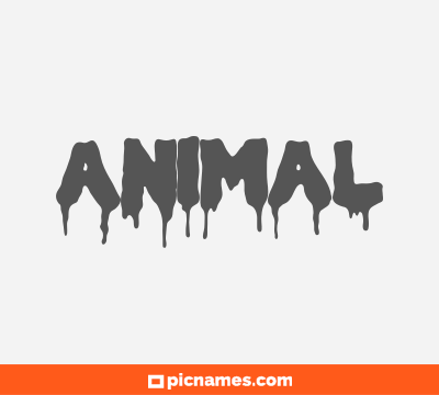 Animal