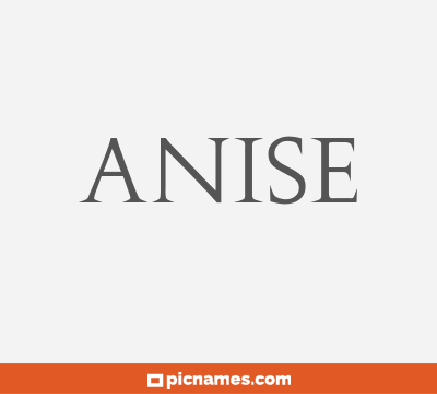 Anise